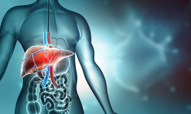 Small Lifestyle Changes That Protect Long-Term Health